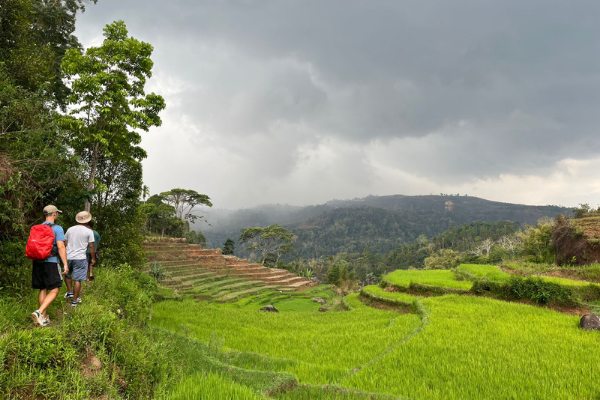 Ruteng Sunrise Tour and Adventure