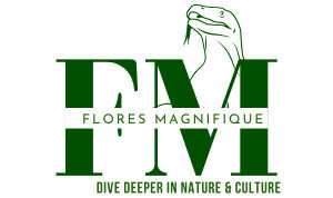 Logo Flores Magnifique tour and travel