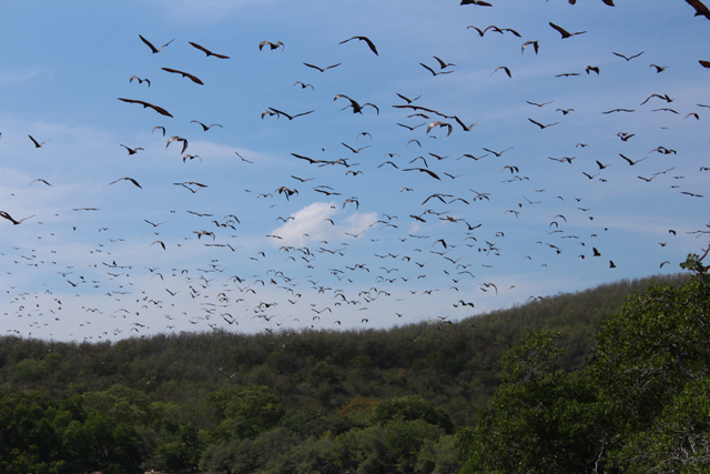 Flores land tour 5 days 4 nights