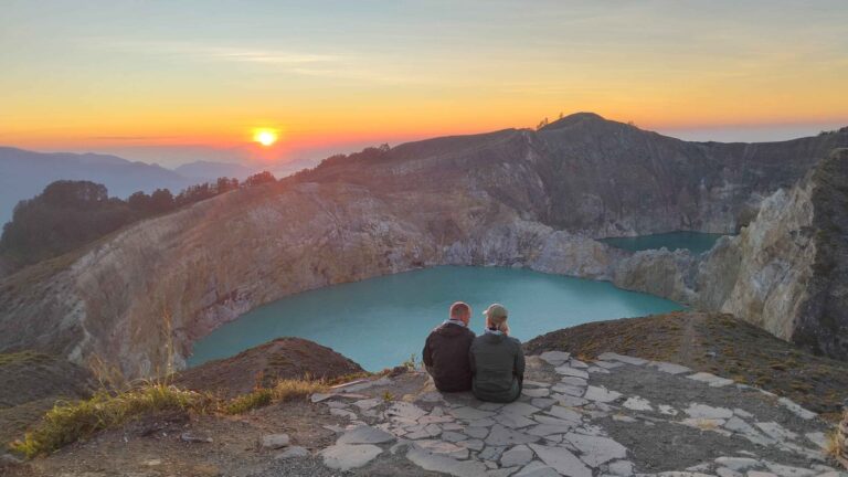 Misunderstanding Turns Into a Happy Ending Tour with Flores Magnifique