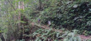 Waerebo & Hobbit Tour in Flores Island Indonesia